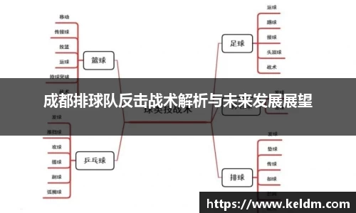 成都排球队反击战术解析与未来发展展望